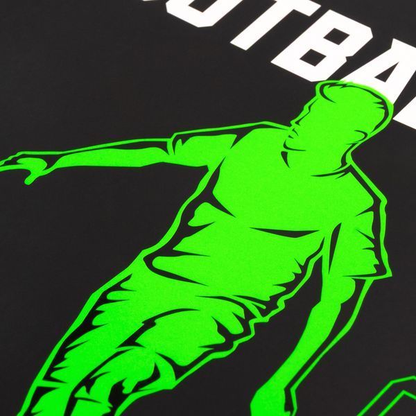 Щоденник шкільний інтегральний Football Profi A5 40 аркушів Yes 911744 фото