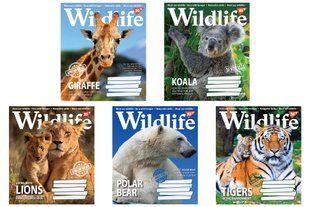 Зошит 96 лінія Wild life Yes (5/120) 766133 фото