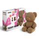 Картонний 3D пазл TEDDY BEAR Cartonic CARTTEDDY фото 11