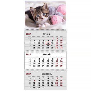 Календар настінний квартальний 2027 р. 3 пружини Cats 1 Axent 8803-27-7-A фото