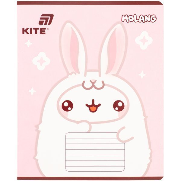 Зошит 18 клітинка софт тач + УФ лак ML Kite (20) ML26-236 фото