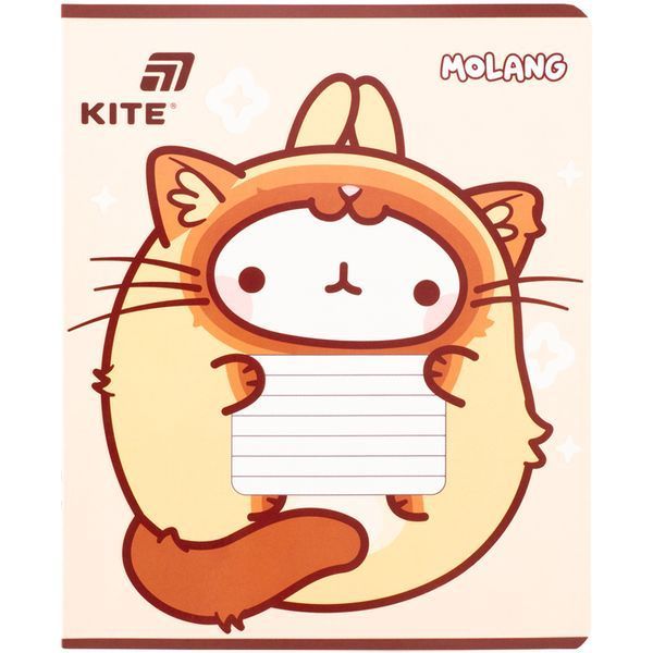 Зошит 18 клітинка софт тач + УФ лак ML Kite (20) ML26-236 фото