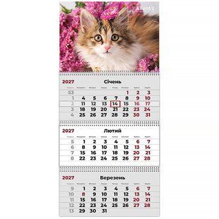 Календар настінний квартальний 2027 р. 3 пружини Cats 3 Axent 8803-27-9-A фото