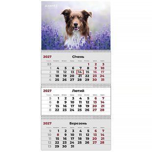 Календар настінний квартальний 2027 р. 3 пружини Dogs 1 Axent 8803-27-10-A фото