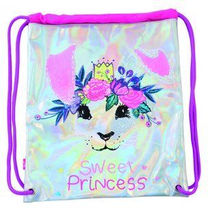 Сумка для взуття DB-11 Honey Bunny Yes 556381 фото