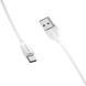 Кабель USB-A &mdash; USB-C BX19 3A 1м Білий BOROFONE 6931474701800 фото 2