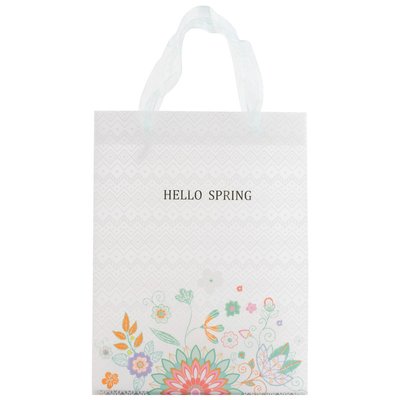 Пакет пластиковий подарунковий 25х19см Hello Spring 03 Axent 8503-10-A фото