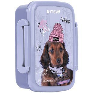 Ланчбокс 420 мл RH Kite R25-160 фото