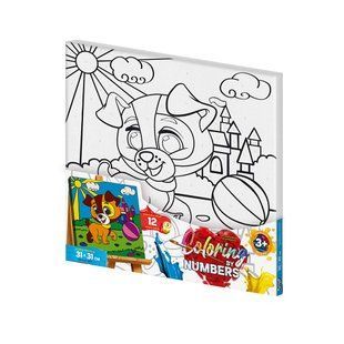 Розмальовка за номерами 31см*31см Coloring by numbers-5 с.1 DankoToys (10) CBN-01-05 фото