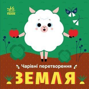 Чарівні перетворення: Земля С1701004У фото