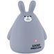 Скарбничка Grey Bunny Kite K25-498-8 фото 1
