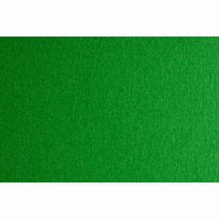 Папір для дизайну Colore B2 (50*70см) №31 verde 200г/м2 зелений дрібне зерно Fabriano 16F2231 фото