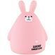 Скарбничка Pink Bunny Kite K25-498-9 фото 1