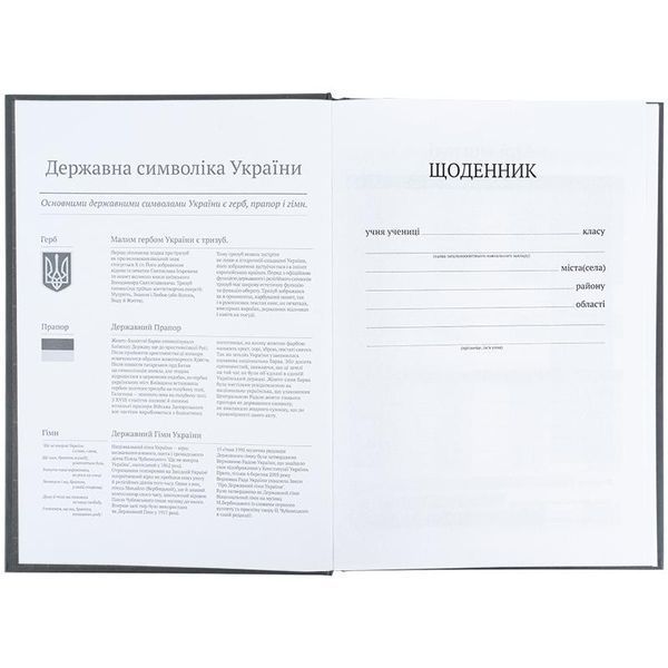 Щоденник шкільний тверда обкл World Kite K25-262-8 фото