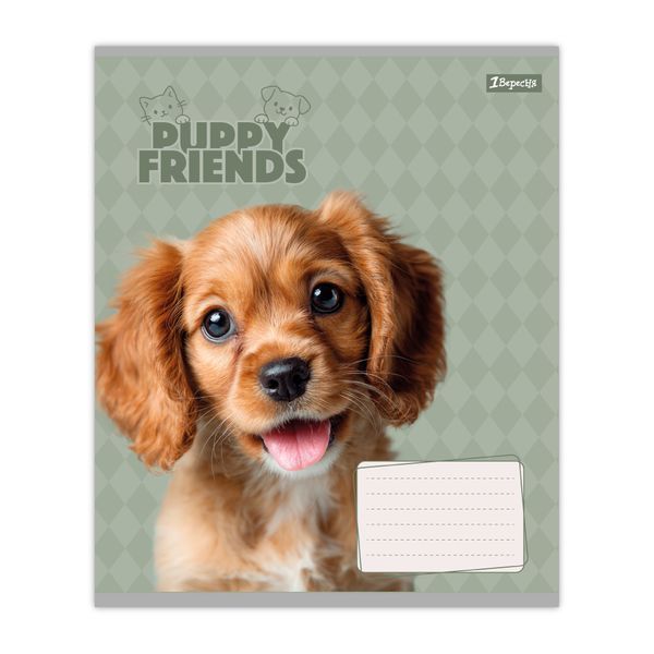 Зошит 12 коса 1В Puppy friends 1Вересня (25/500) 768778 фото
