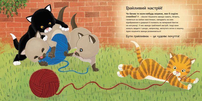 КЕНГУРУ Безліч емоцій Що означає кожна? Частина 2 Ранок 296153 (КН903002У) фото
