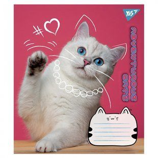 Зошит 24 клітинка Adventurous cats Yes (20/320) 766630 фото