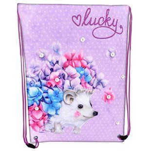 Сумка для взуття Lucky 46*33см Class 2233C фото